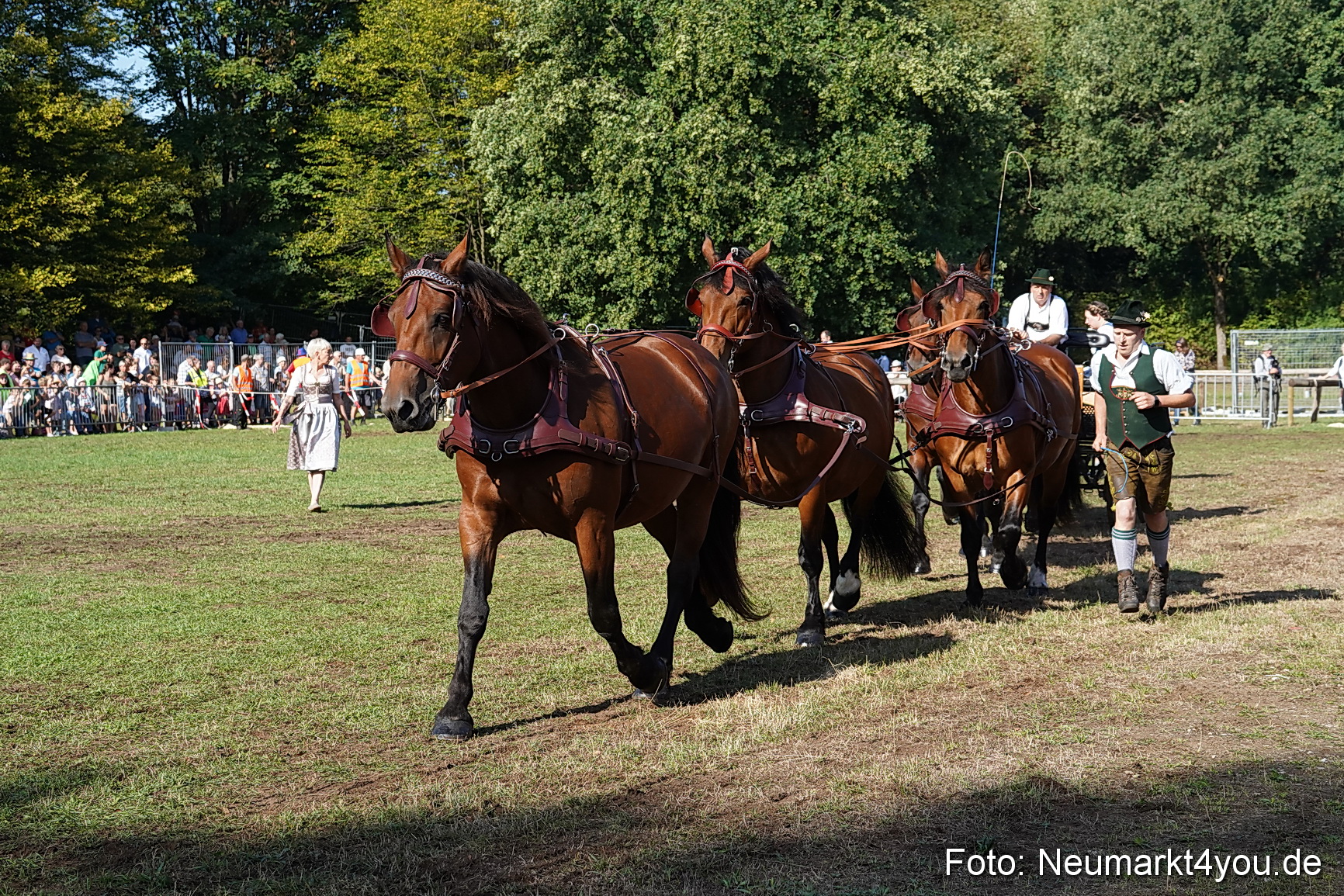 Pferde und Fohlenschau 2022 0074 
